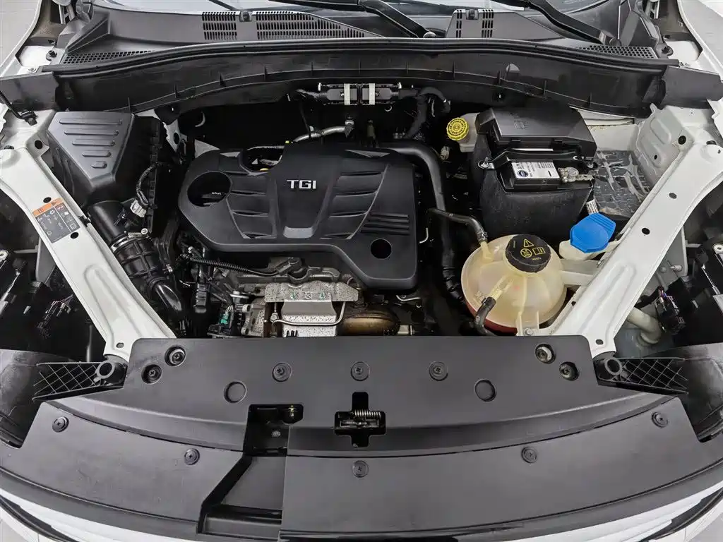 Roewe RX5 2020 20T MT 4G