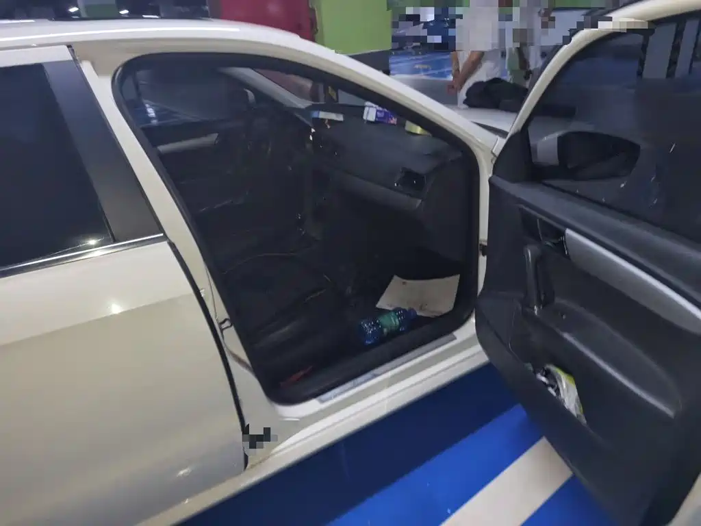 Volkswagen Gran Lavida — миниатюра 22