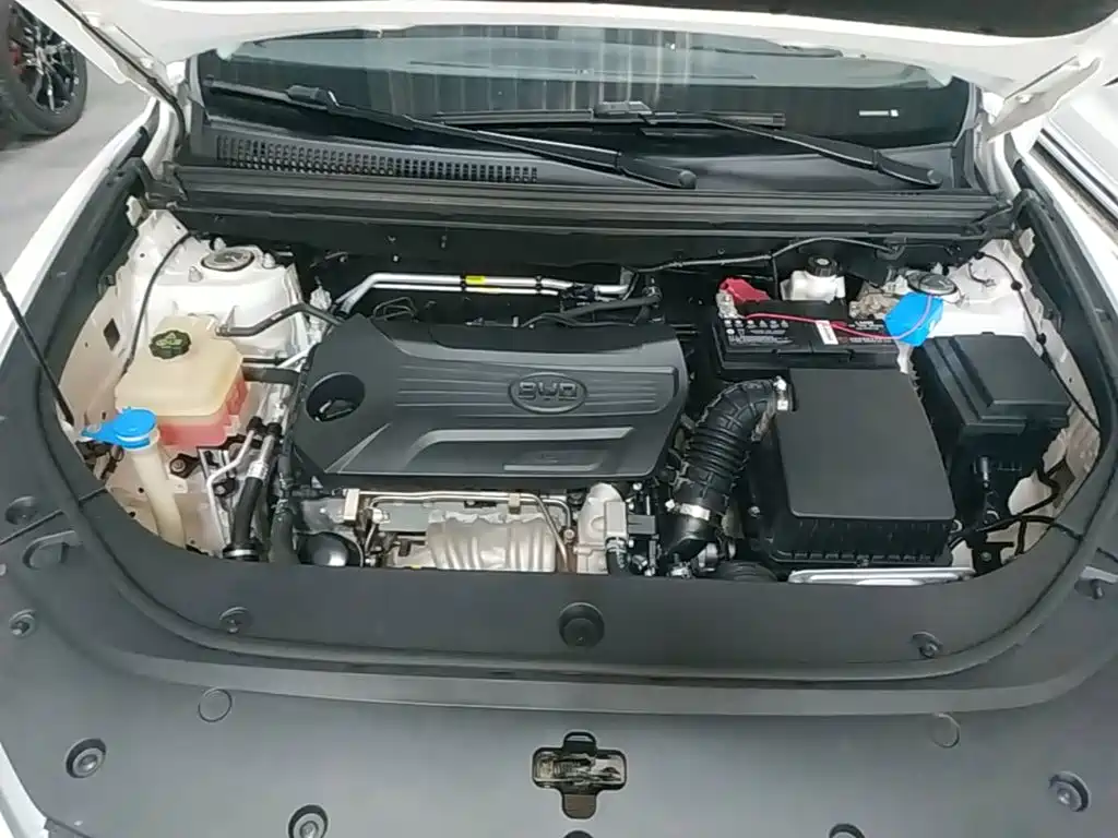 BYD Pro — миниатюра 20