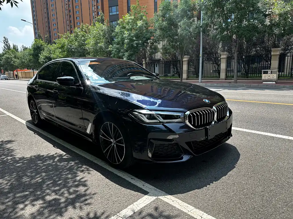 BMW 5 Series — миниатюра 3