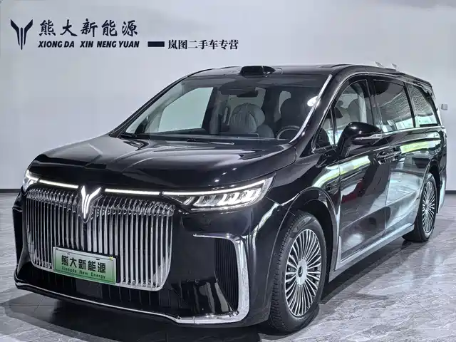 2025 Voyah Dream