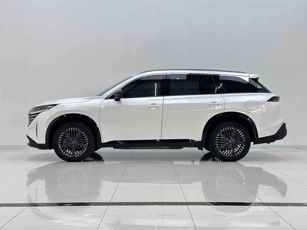 Nissan Teramont — миниатюра 6
