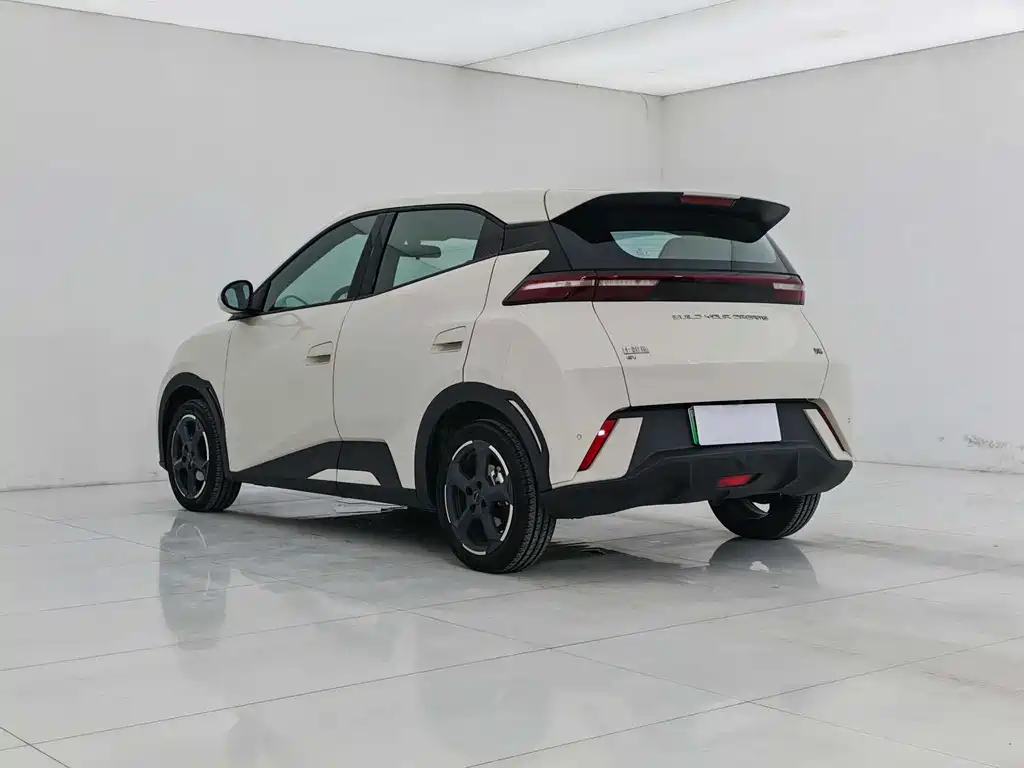 BYD Seagull 2024 305km Freedom