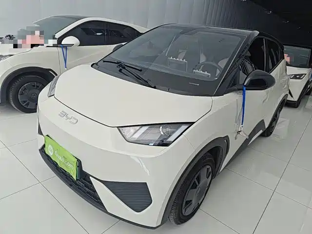 2025 BYD Seagull