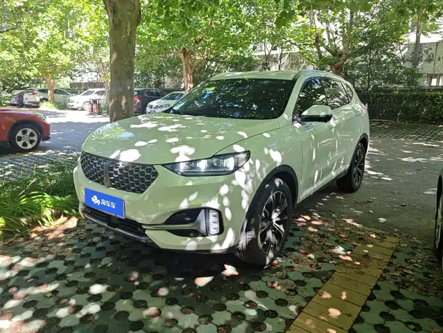 2021 Wey VV6