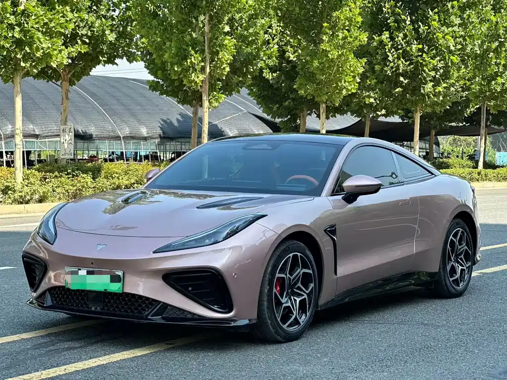 Neta Neta GT