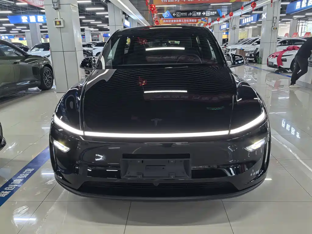 Tesla Model Y — миниатюра 2