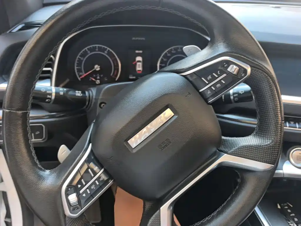 Haval H6 — миниатюра 11