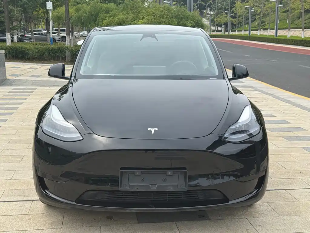 Tesla Model Y — миниатюра 2