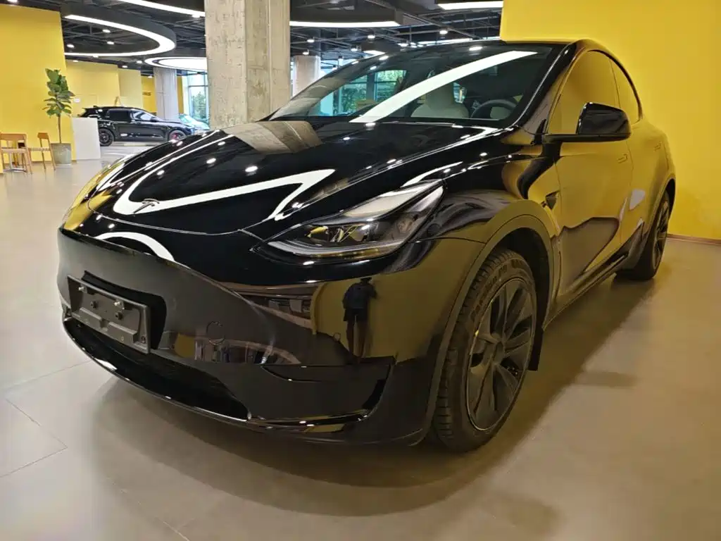 Tesla Model Y — миниатюра 2