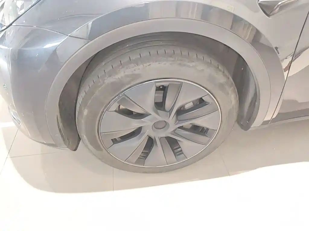 Tesla Model Y — миниатюра 23