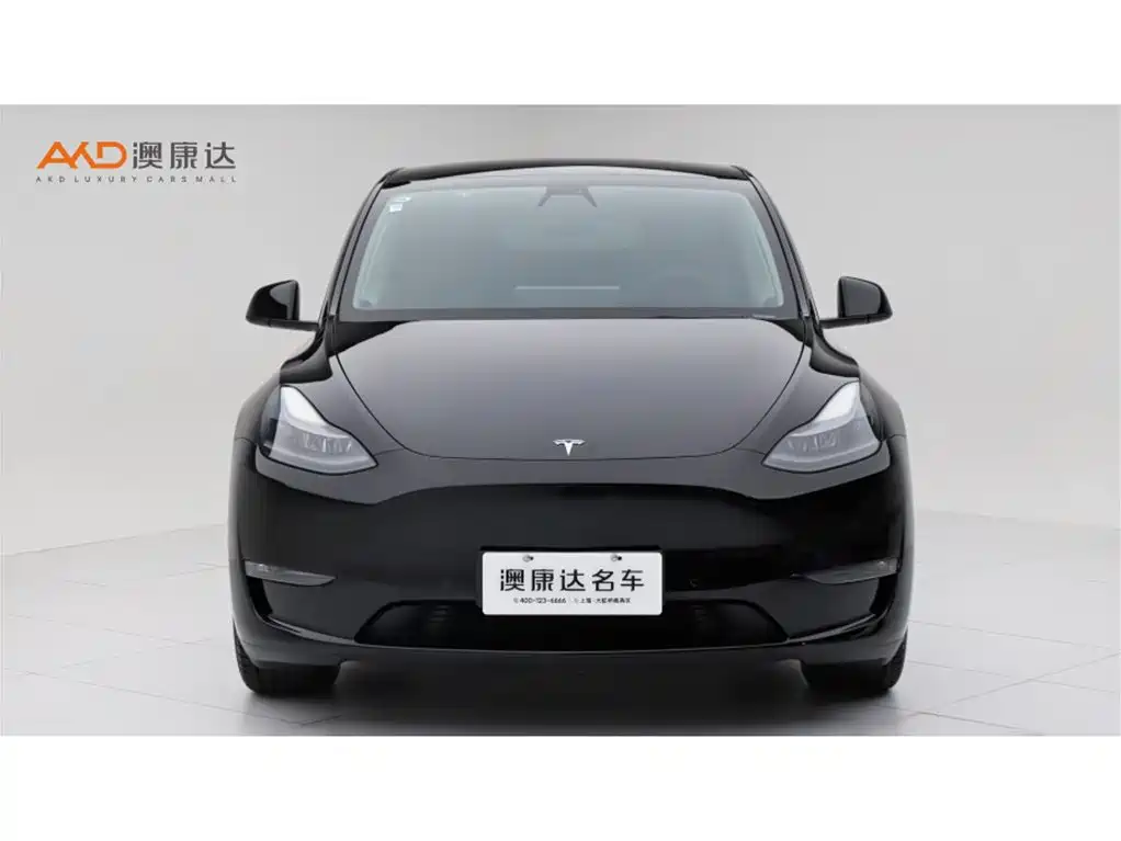 Tesla Model Y — миниатюра 2