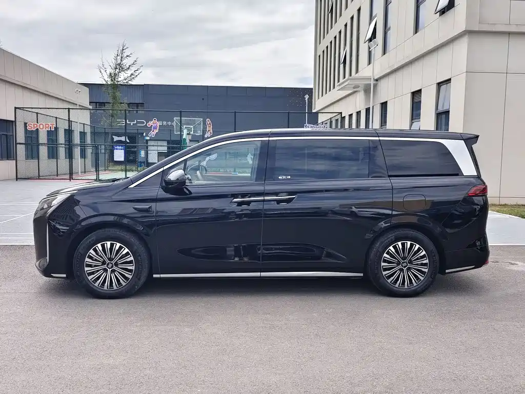BYD Xia 2025 DM-i 1.5T 180km