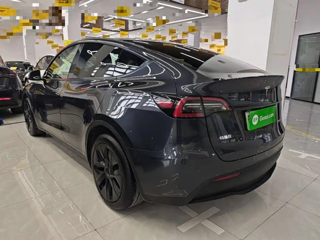 Tesla Model Y — миниатюра 5
