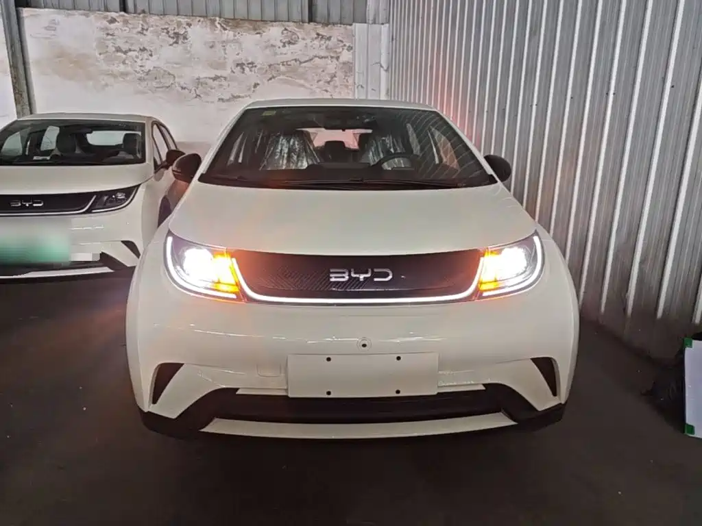 BYD Dolphin — миниатюра 3