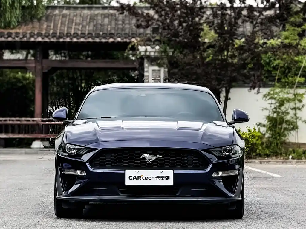 FORD MUSTANG