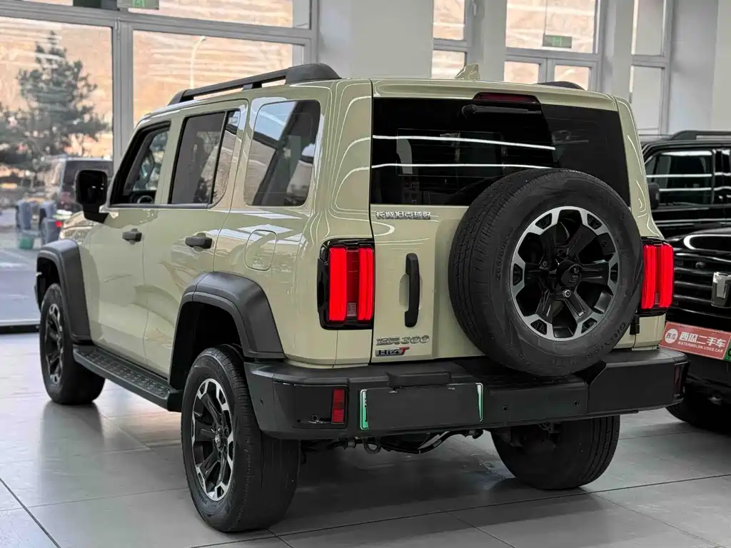 TANK TANK 300 NEW ENERGY