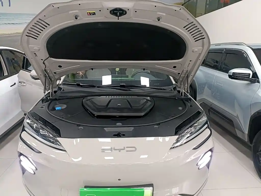BYD PLUS New Energy — миниатюра 20