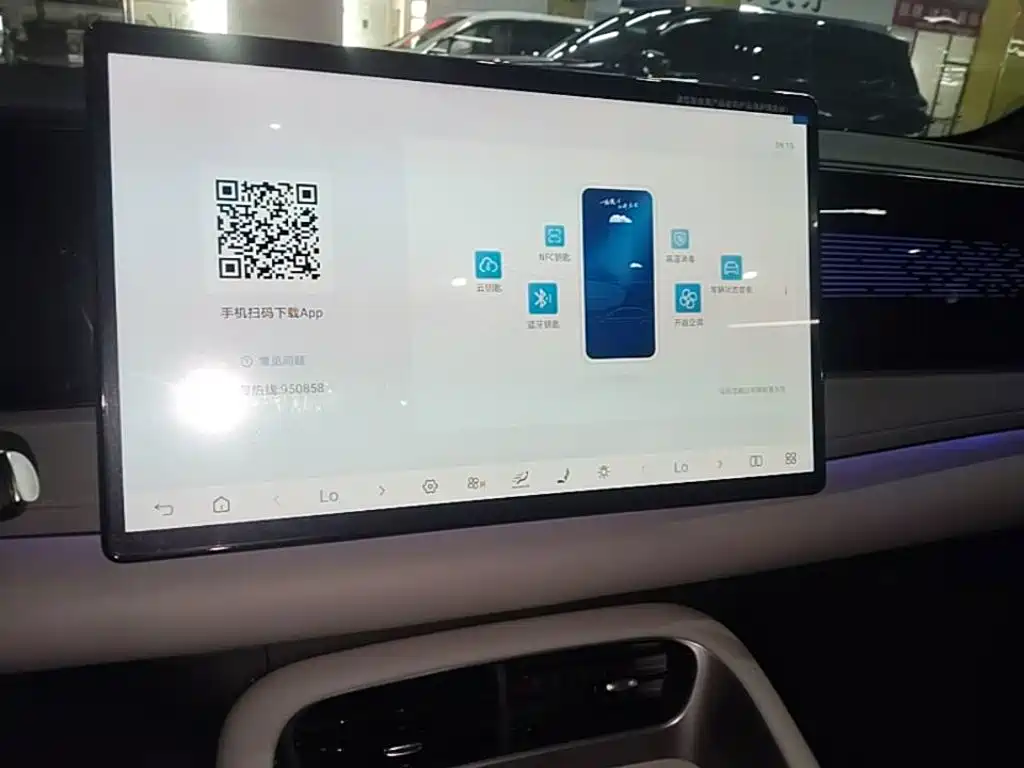 BYD Haisi 06 — миниатюра 13