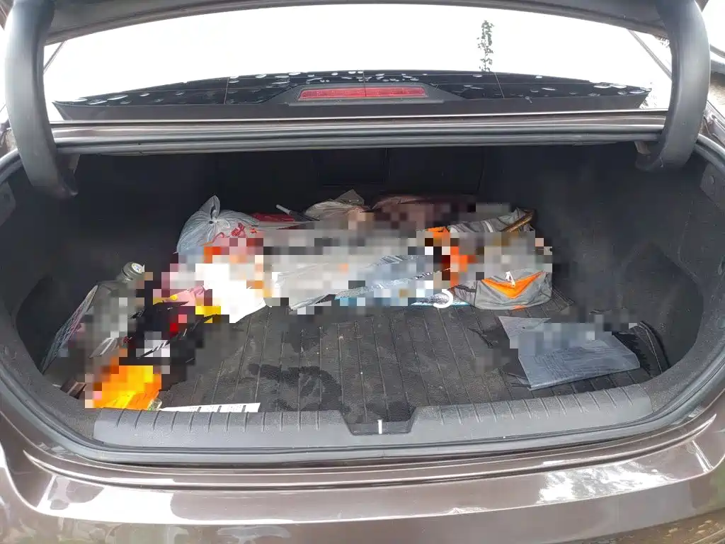 Hyundai Sonata — миниатюра 15