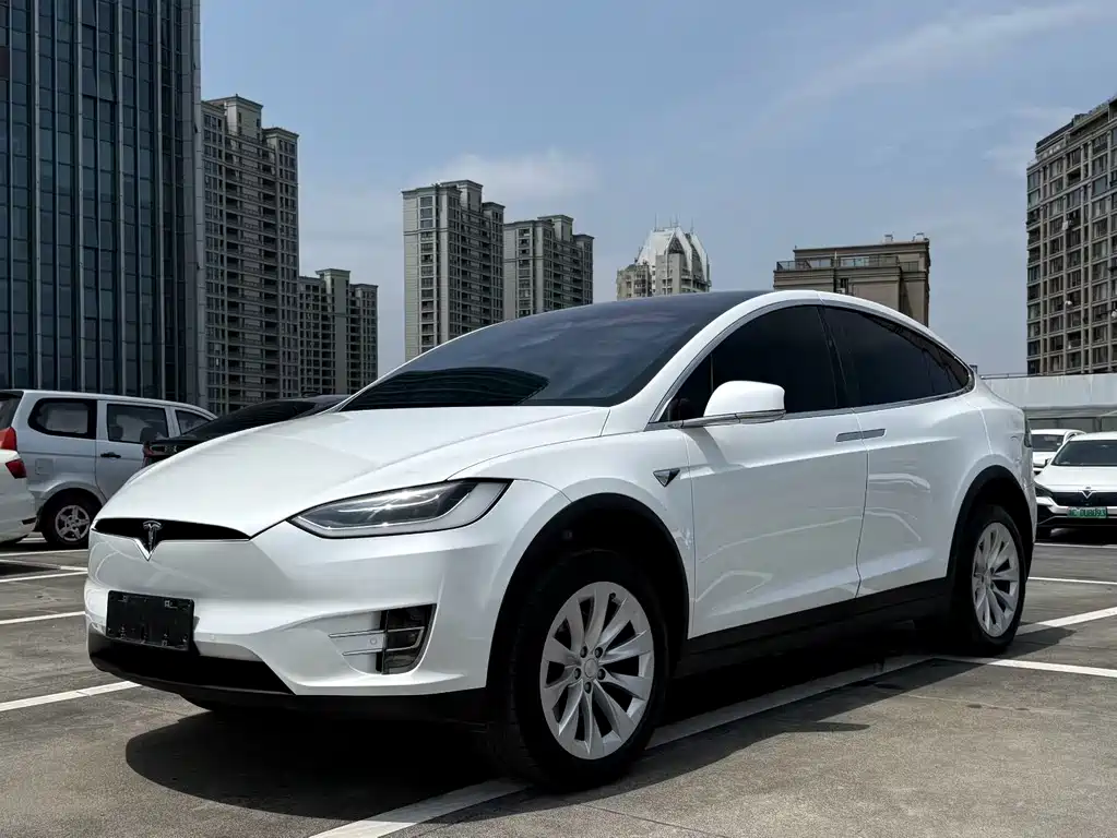 Tesla Model X 2019