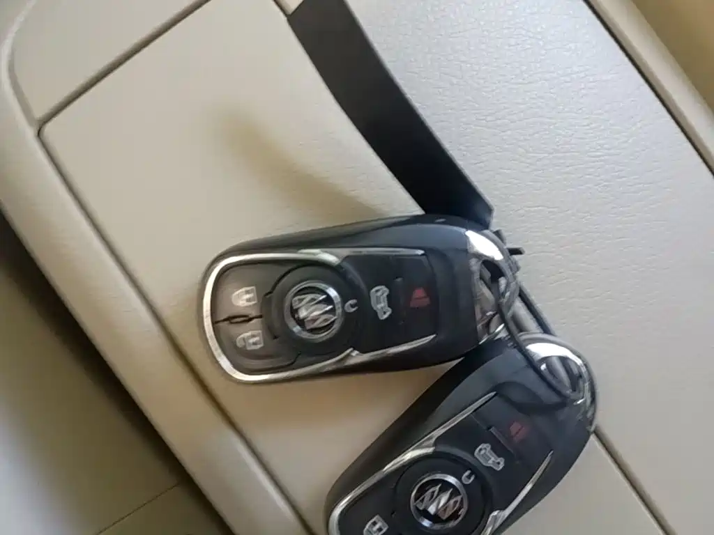 Buick GL8 — миниатюра 9