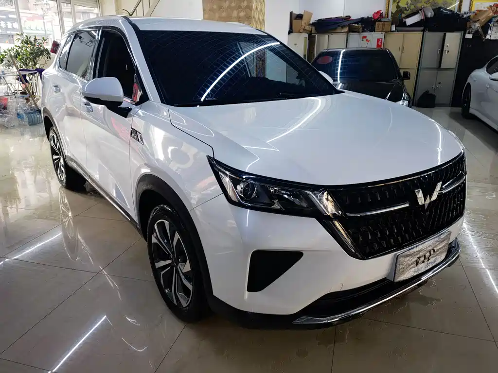 WULING WULING XINGCHEN
