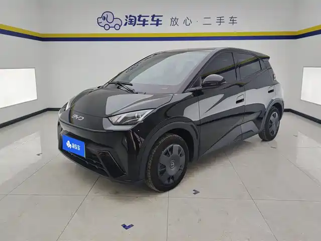 BYD SEAGULL 2024