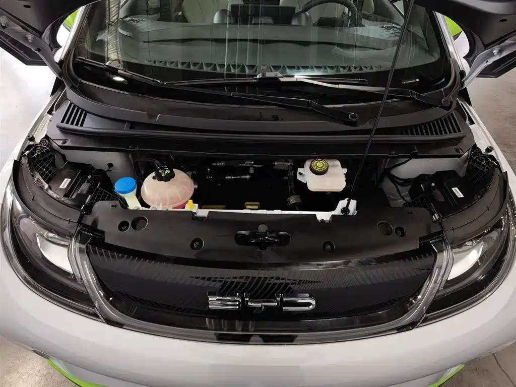 BYD Dolphin 2021 405km Fashion
