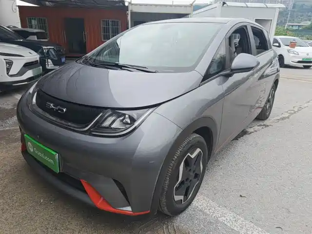 2022 BYD Dolphin