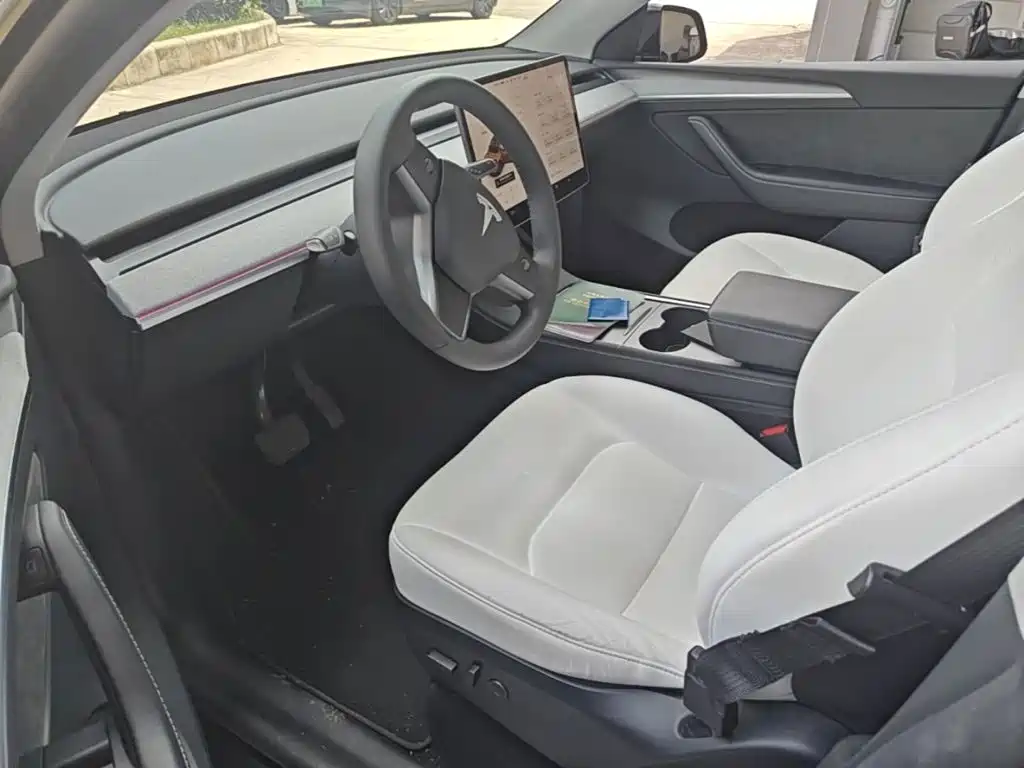 Tesla Model Y — миниатюра 15