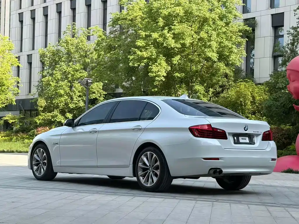BMW 5 Series 5 2017 525Li Lead