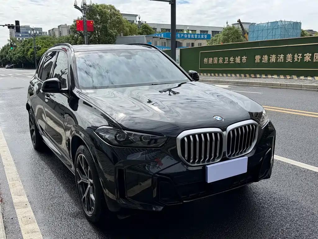 BMW X5 — миниатюра 13