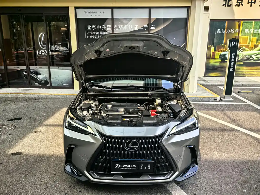 Lexus NX — миниатюра 2