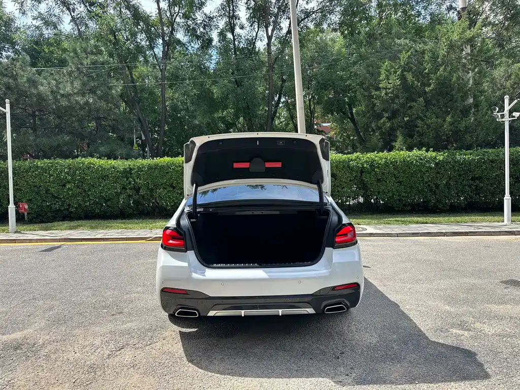 BMW 5 Series 5 2021 525Li M Sport