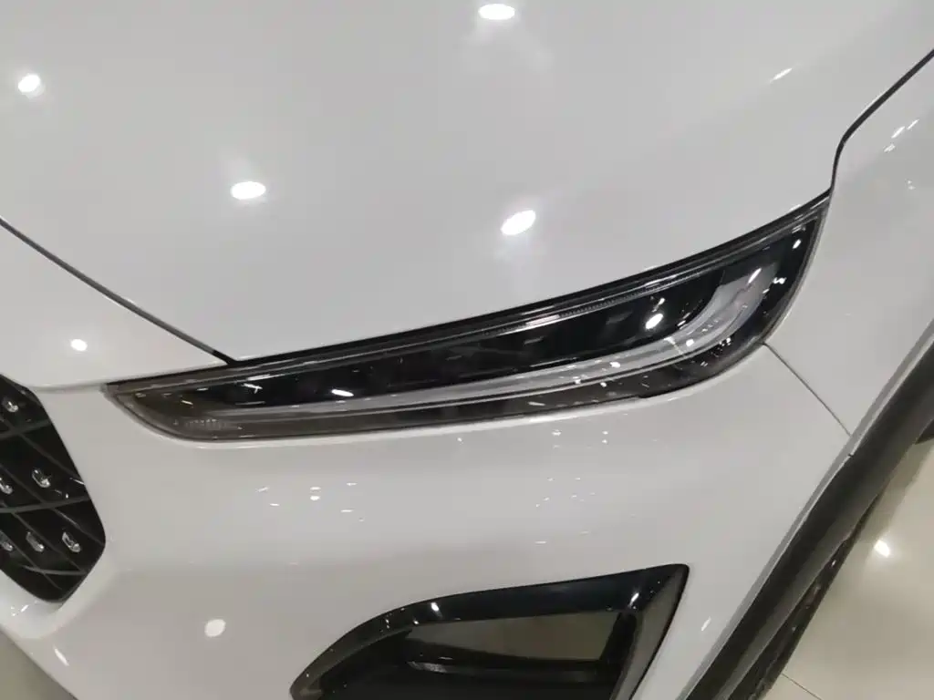 Chery Tiggo 3x — миниатюра 24