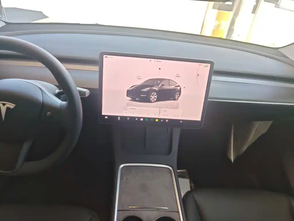 Tesla Model Y — миниатюра 13