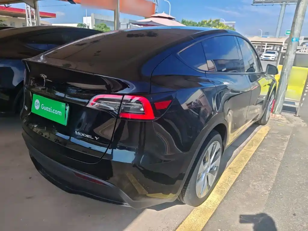 Tesla Model Y — миниатюра 7