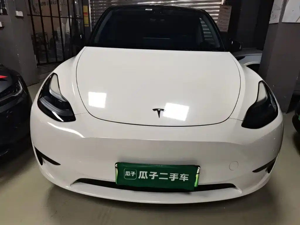 Tesla Model Y — миниатюра 3