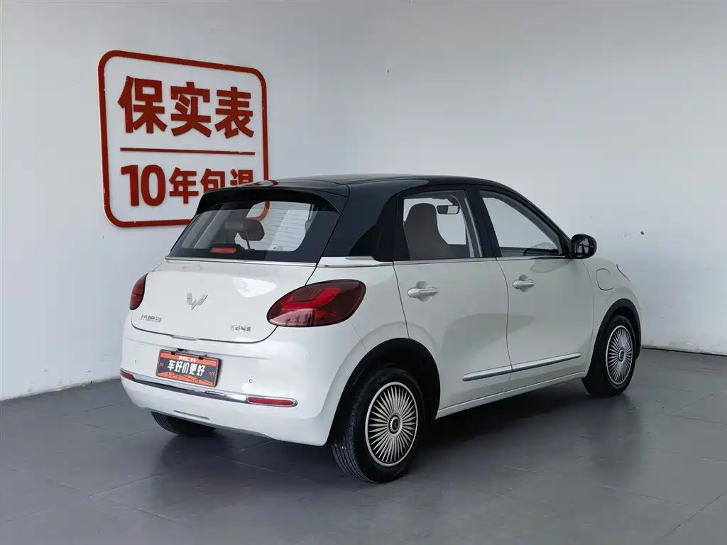 Wuling Binguo 2023 333km +