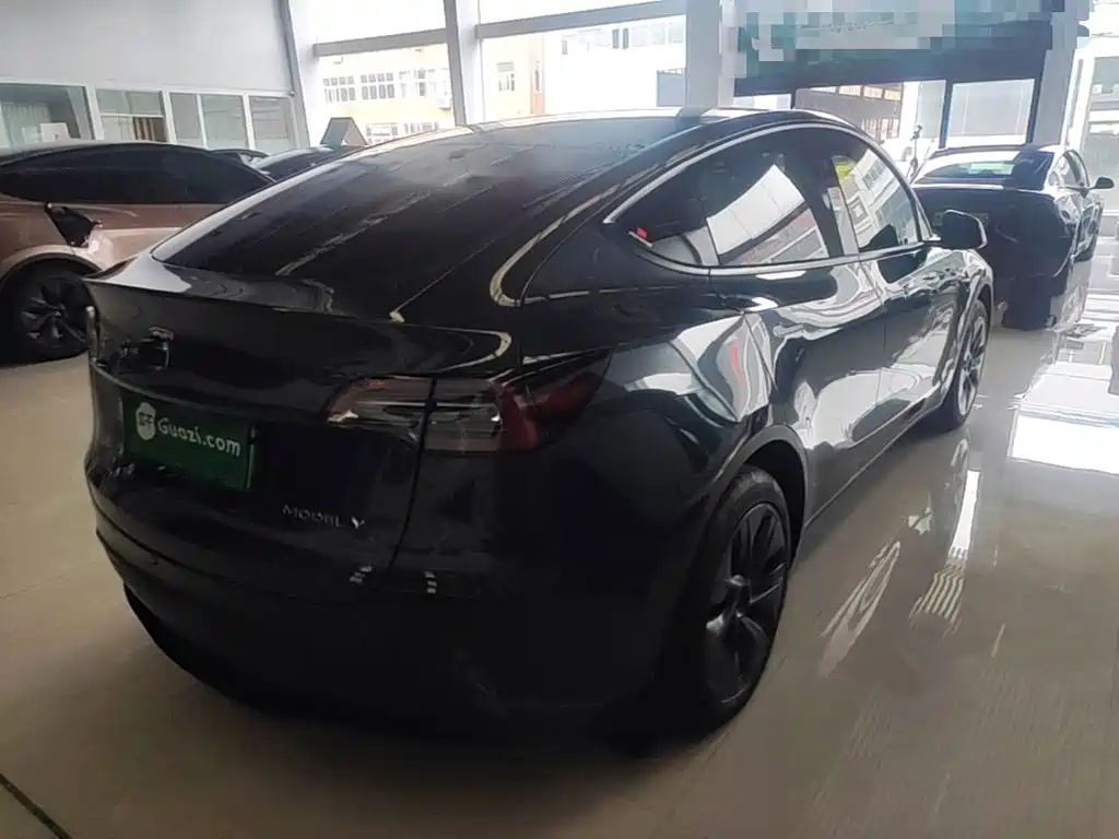 Tesla Model Y — миниатюра 7