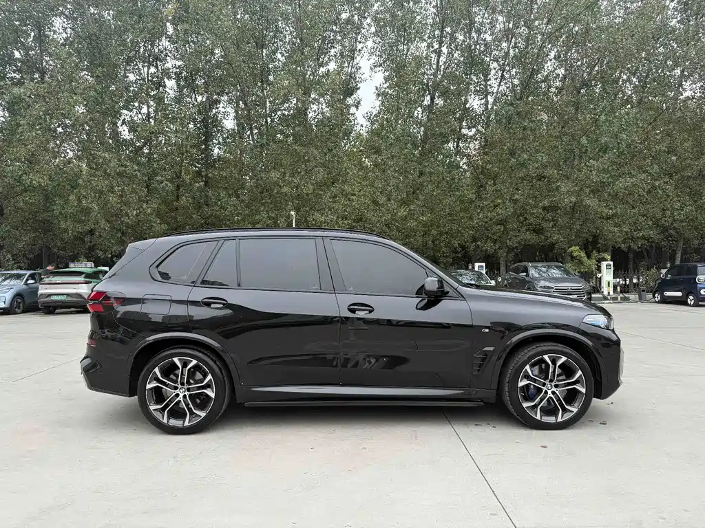 BMW X5 — миниатюра 7