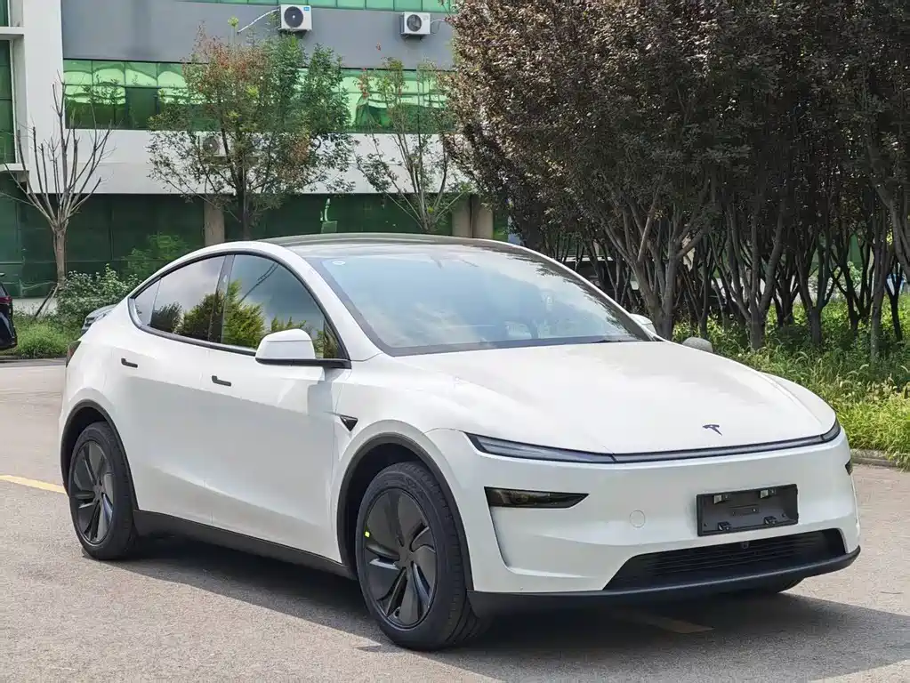 Tesla Model Y — миниатюра 2