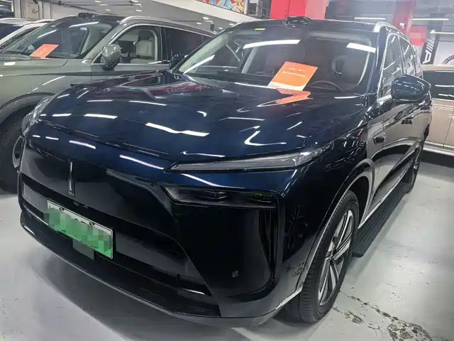 WEI PAI WEI BRAND BLUE MOUNTAIN 2024