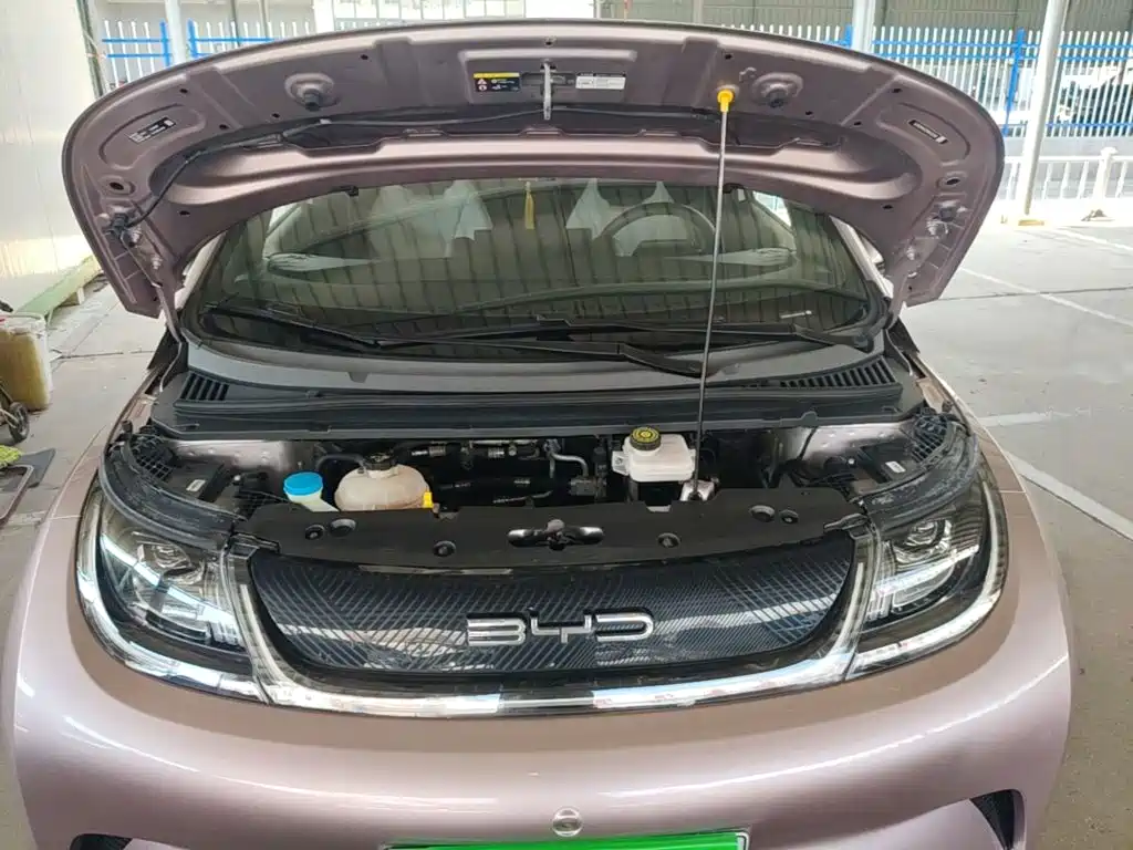 BYD Dolphin — миниатюра 20