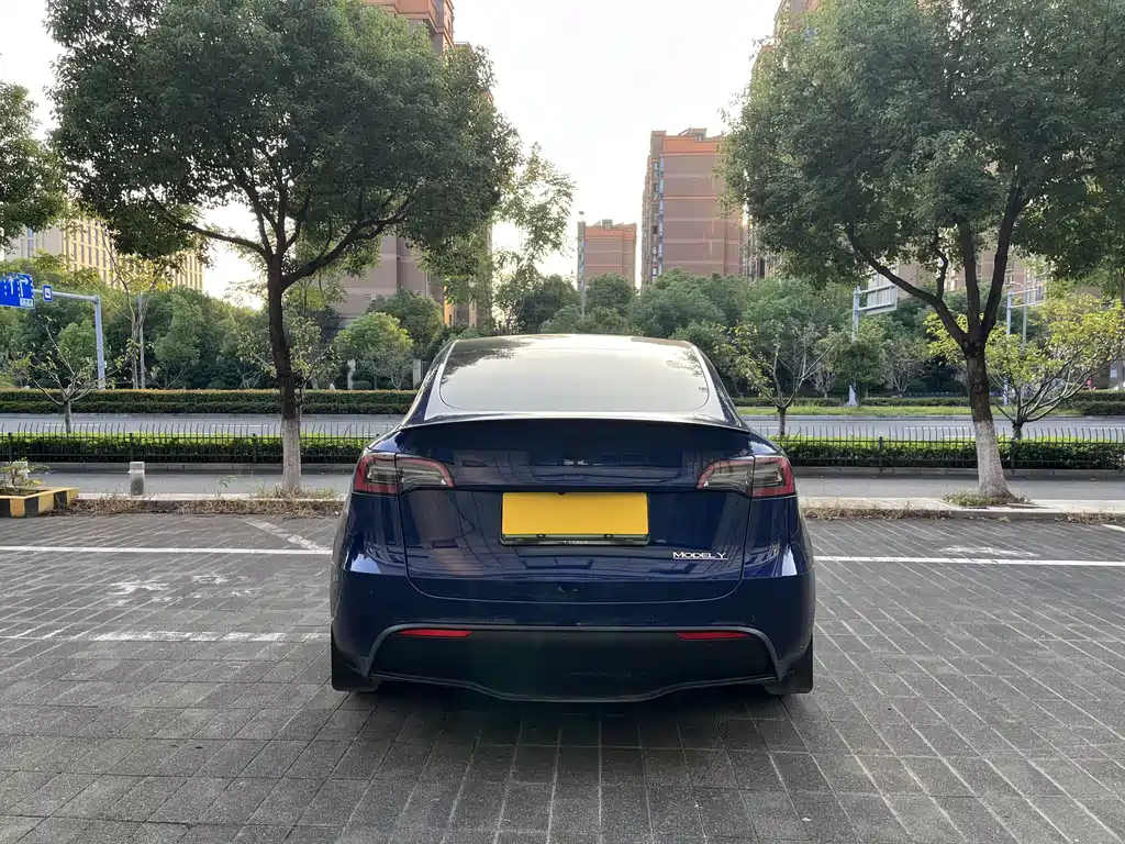 Tesla Model Y — миниатюра 17