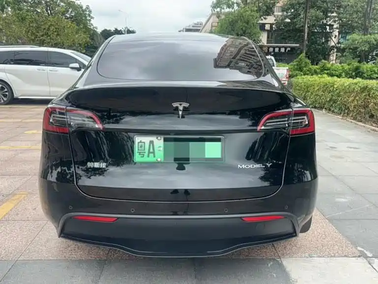 Tesla Model Y — миниатюра 5
