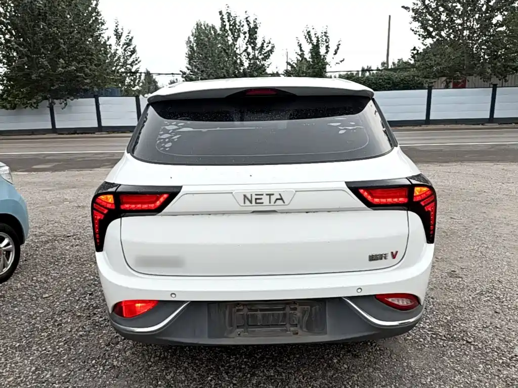 Neta Neta V — миниатюра 6