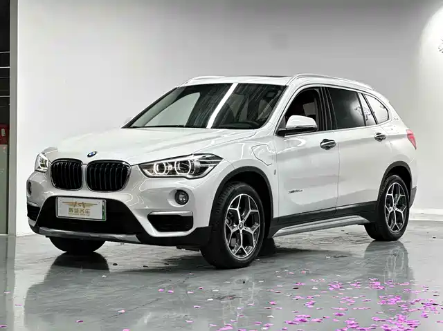 BMW  X1 NEW ENERGY 2018
