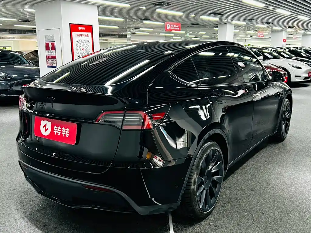 Tesla Model Y — миниатюра 4